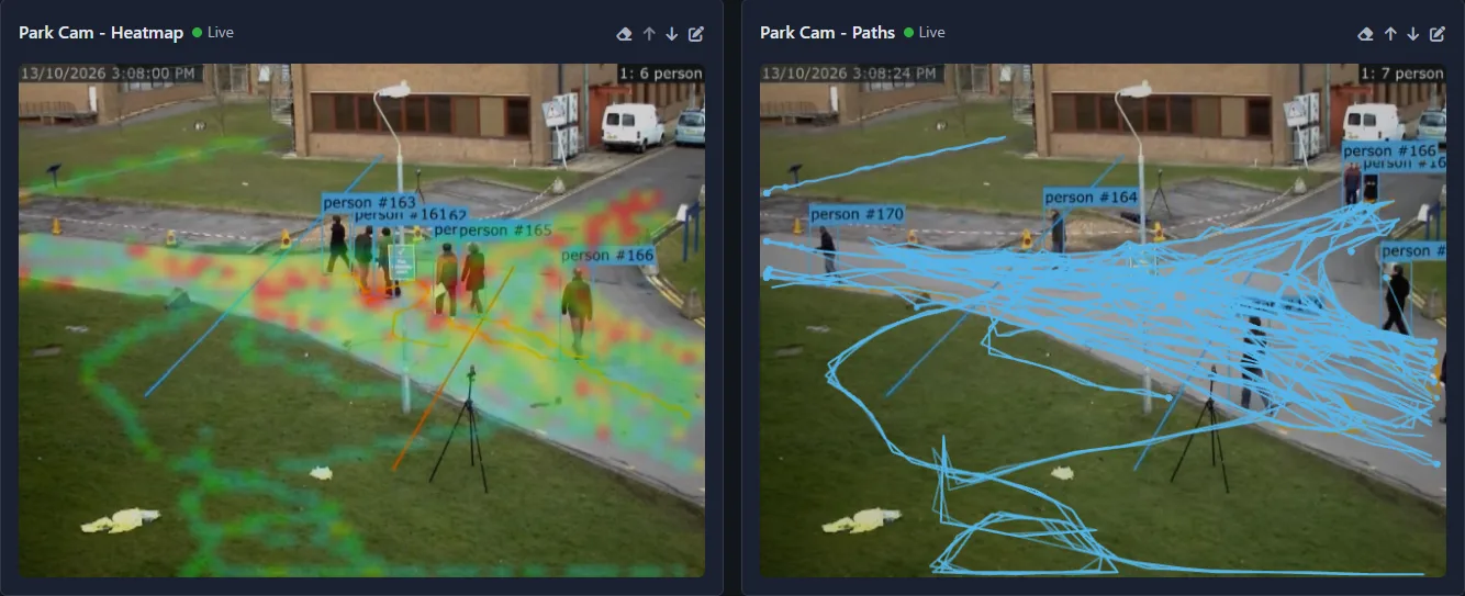 Heatmap and Paths reports over live video
