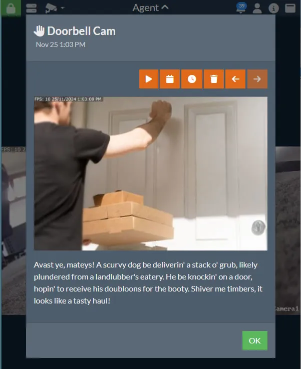 Describe Alerts